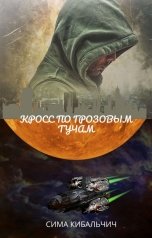 обложка книги Сима Кибальчич "Кросс по грозовым облакам"