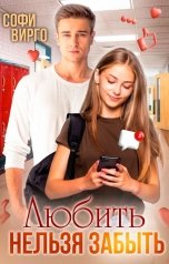 обложка книги Софи Вирго "Любить нельзя забыть"