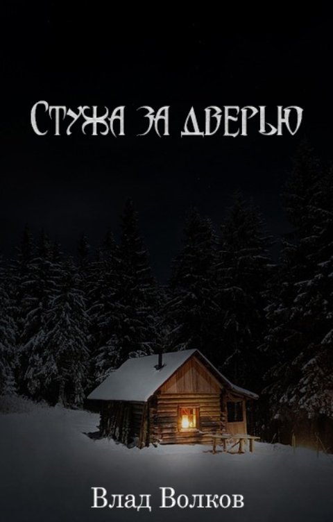 Обложка книги Влад Волков Стужа за дверью