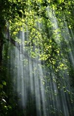 обложка книги Ксения Монакова "Дорога к холмам"