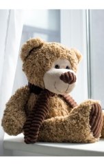 обложка книги MurenaMurrey "Дневник одной девушки или фрагменты из её жизни"