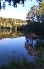 обложка книги Лягуха "Болото"