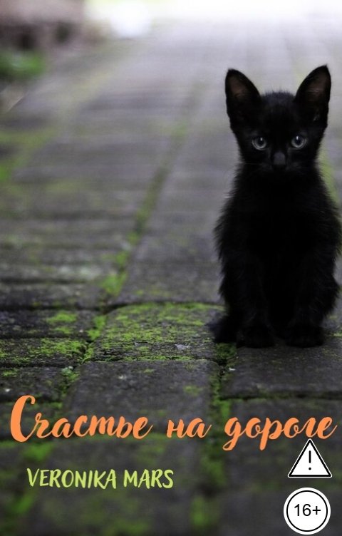 Обложка книги Veronika Mars Счастье на дороге