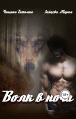 обложка книги Татьяна Чащина, Мария Зайцева "Волк в ночи"