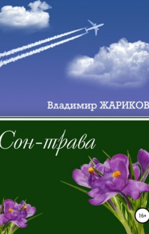 Обложка книги Воробьев Александр Сон-трава