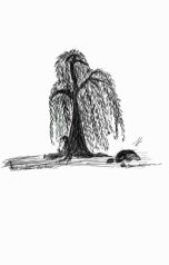 обложка книги Плакучая Ива "Тайны сумрачного леса"