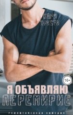 обложка книги Кари Кристи "Я объявляю перемирие"