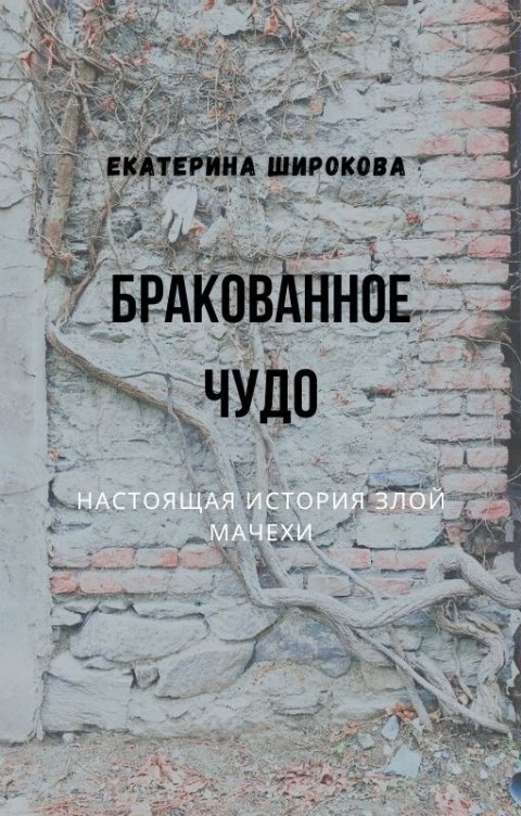 Обложка книги Екатерина Широкова Бракованное чудо