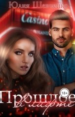 обложка книги Юлия Шевченко "Прошлое в лифте"