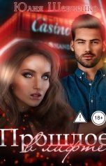 обложка книги Юлия Шевченко "Прошлое в лифте"