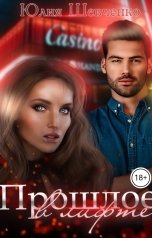 обложка книги Юлия Шевченко "Прошлое в лифте"
