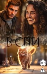 обложка книги Агата Соболева "В сети"