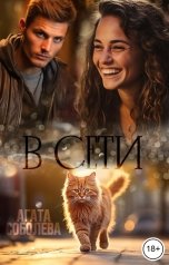 обложка книги Агата Соболева "В сети"