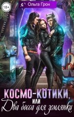 обложка книги Ольга Грон "Космо-котики, или Два босса для землянки"