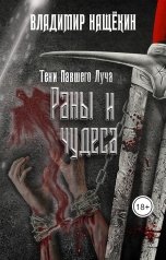 обложка книги Владимир Нащёкин "Раны и чудеса"