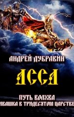 обложка книги Andrey Ivanov, Андрей Иванов "АССА"