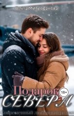 обложка книги Ольга Митрофанова "Подарок севера"