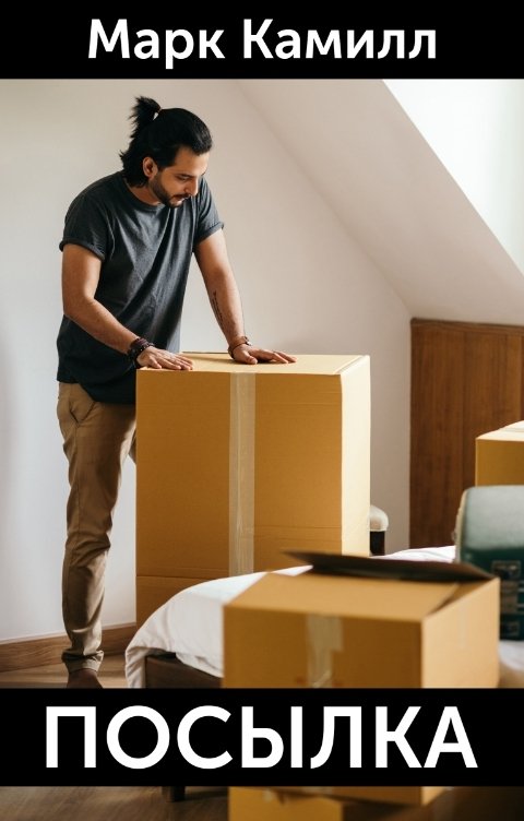 Обложка книги Марк Камилл Посылка