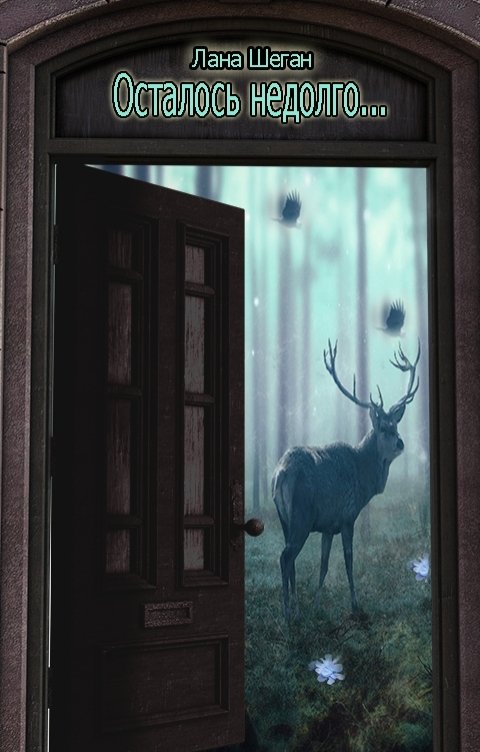 Обложка книги Лана Шеган Осталось недолго