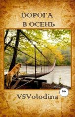 обложка книги Всеволод  VSVolodina "Дорога в осень"