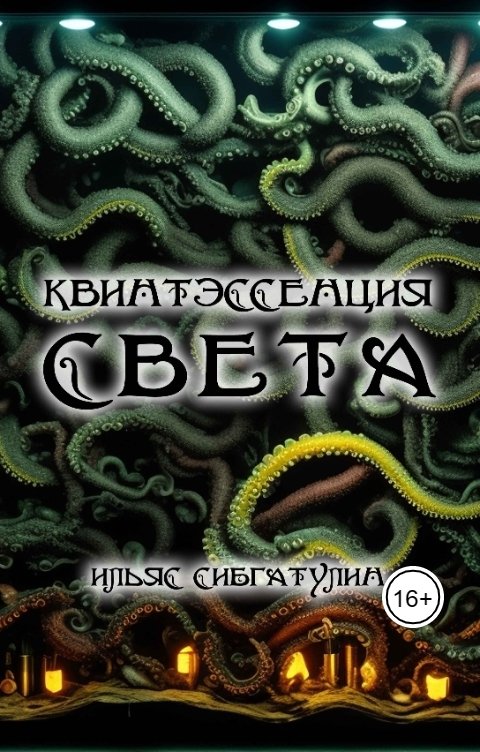 Обложка книги Ilyas Sibgatulin Квинтэссенция света