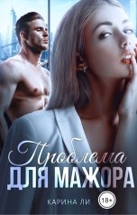 обложка книги Карина Ли "Проблема для мажора"