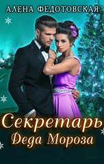 обложка книги Алена Федотовская "Секретарь Деда Мороза"