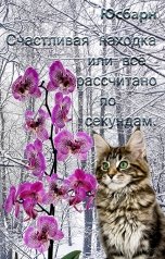 обложка книги Юсбарн "Счастливая находка или всё рассчитано по секундам."