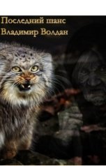 обложка книги Владимир Волдан "Последний шанс"