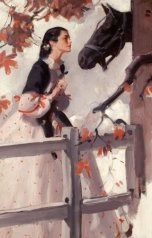 обложка книги Vladimir Sedinkin "Быстрее ветра"