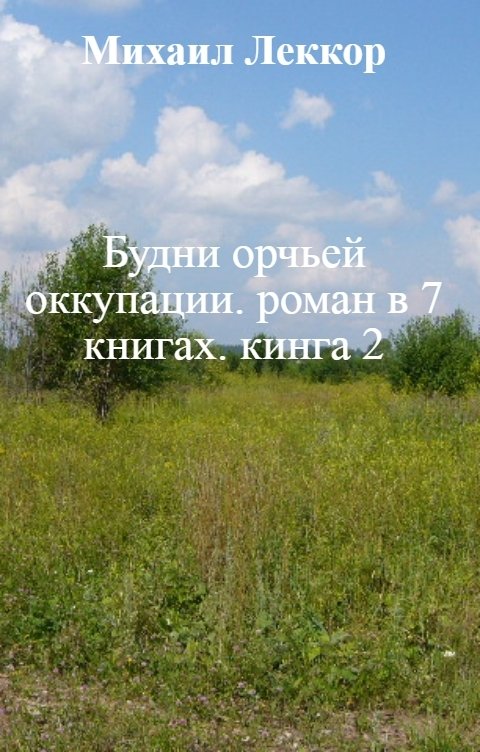 Обложка книги Михаил Леккор Будни орчьей оккупации. роман в 6 книгах. книга 2