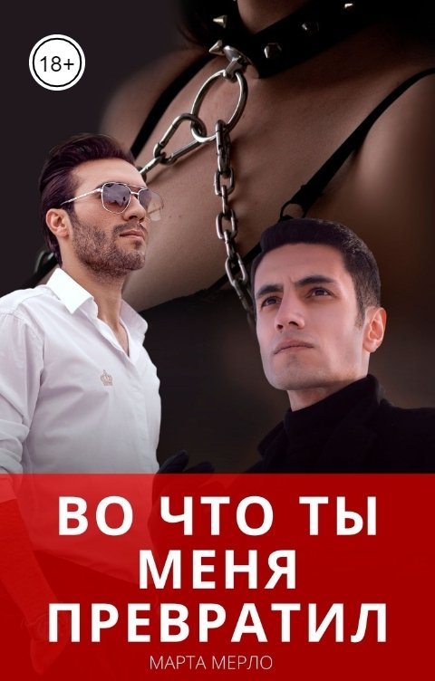 Обложка книги Марта Мерло Во что ты меня превратил