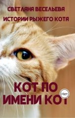 обложка книги Светлана Весельева "Кот по имени Кот"