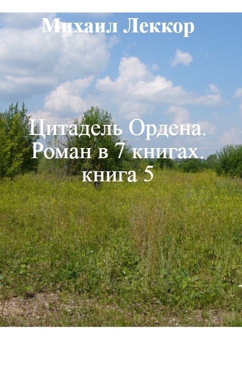 Цитадель Ордена. Роман в 7 книгах. книга 5