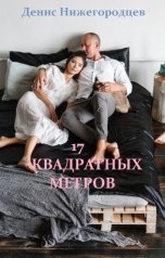 обложка книги Денис Нижегородцев, Хельга Фед "17 квадратных метров"