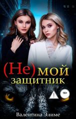 обложка книги Валентина Элиме "(Не) мой защитник"