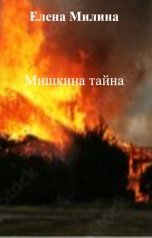 обложка книги Елена Милина "Мишкина тайна"