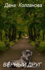 обложка книги Дана Колганова "Верный Друг"