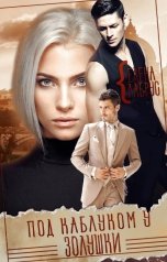 обложка книги Елена Лабрус "Под каблуком у Золушки"