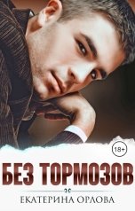 обложка книги Екатерина Орлова "Без тормозов"