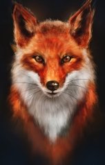 обложка книги Vladimir Sedinkin "Девятихвостый"