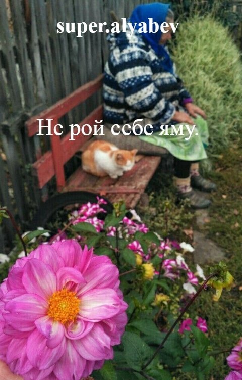 Обложка книги super.alyabev Не рой себе яму.