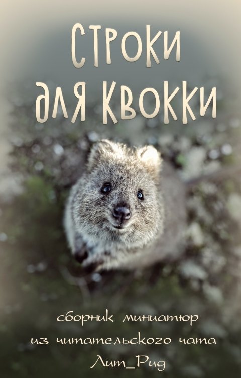 Обложка книги ЛитРид Строки для Квокки