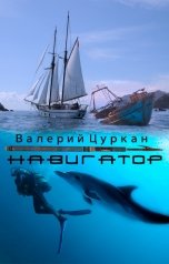 обложка книги Валерий Цуркан "Навигатор"