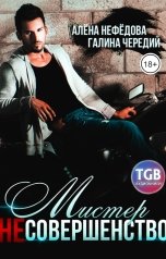 обложка книги Алёна Нефёдова, Галина Чередий "Мистер несовершенство"