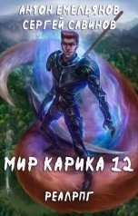 обложка книги Антон Емельянов и Сергей Савинов "Мир Карика 12. Осколки"