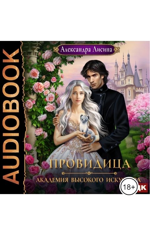 Обложка книги ИДДК Академия высокого искусства. Книга 5. Провидица