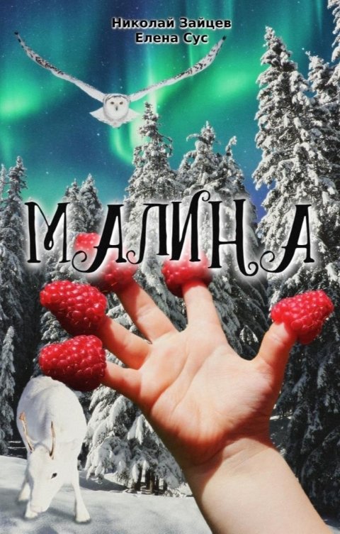 Обложка книги Николай Зайцев Малина