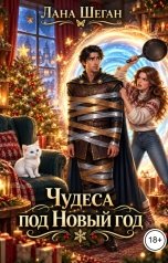 обложка книги Лана Шеган "Чудеса под Новый Год"