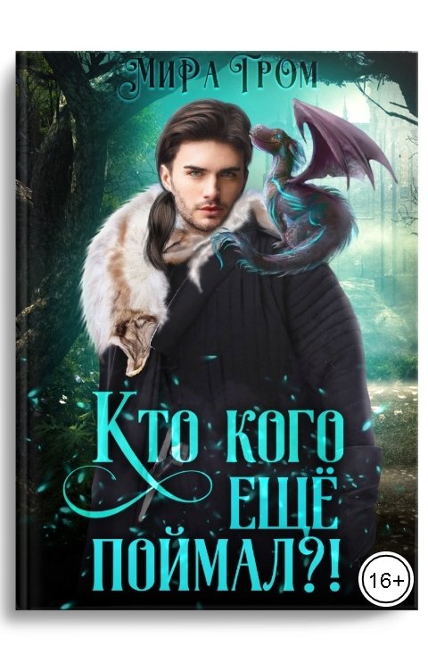 Обложка книги Мира Гром Кто кого ещё поймал?